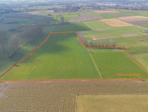                                         Terrain agricole à vendre à Hillegem, € 349.000
