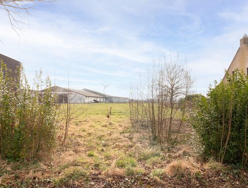                                        Terrain à vendre à Stabroek, € 325.000
