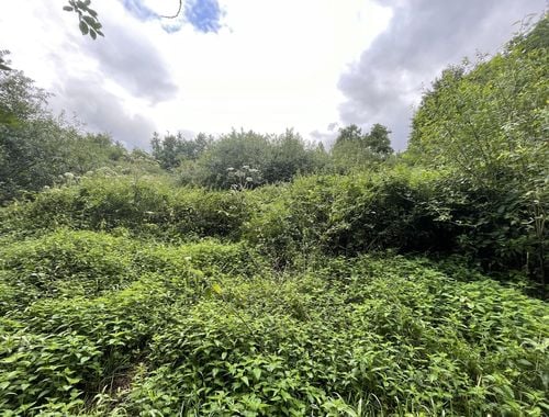                                         Landbouwgrond te koop in Pulle, € 49.714
