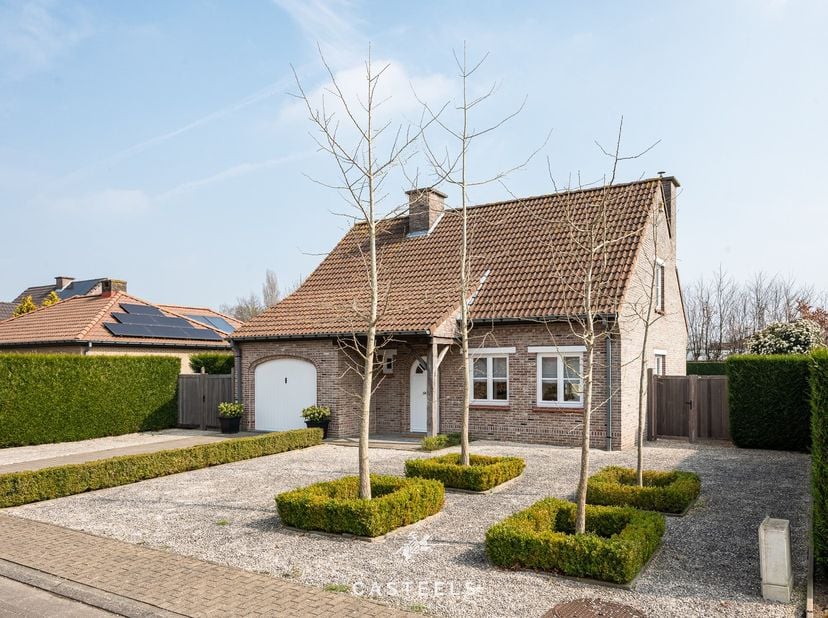 In de rustige woonwijk van Walleken, Wetteren, vind je deze instapklare, hoogwaardig afgewerkte woning met een bewoonbare oppervlakte van 160 m² op ee