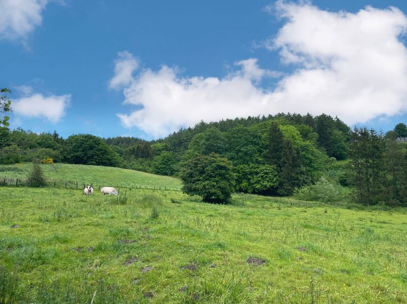 Dans le centre du village de Baillamont, ce terrain possède une vue exceptionnelle! D&#039;une superficie de 39 ares, dont 25 ares en zone d&#039;habitat, et le