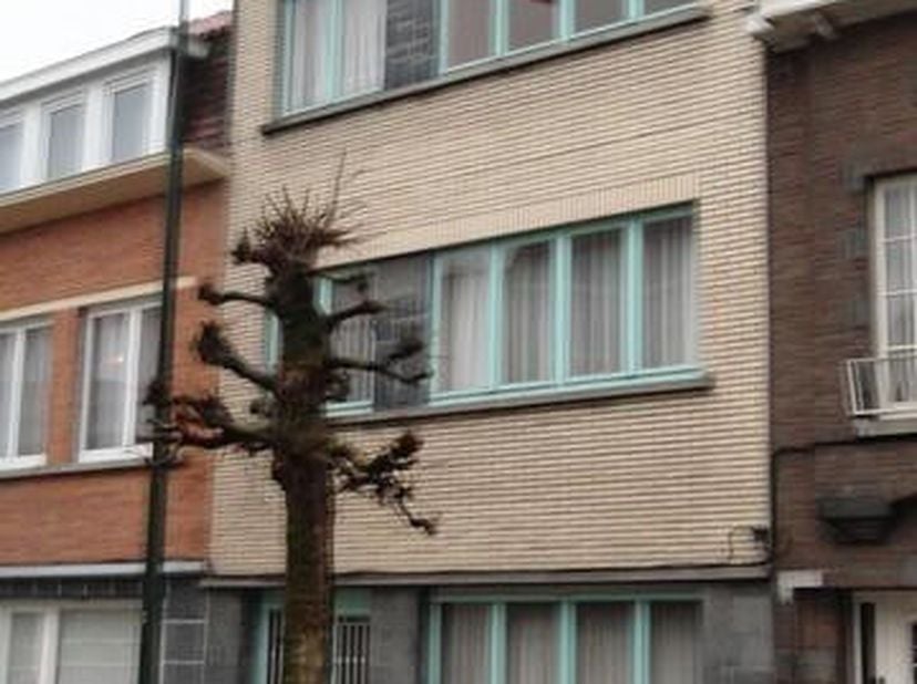 Appartement de 50 m² au premier étage d&#039;un petit immeuble. Cuisine, living, 1 salle de douce, wc, 1 cave, terrasse. Pas de charge communes.