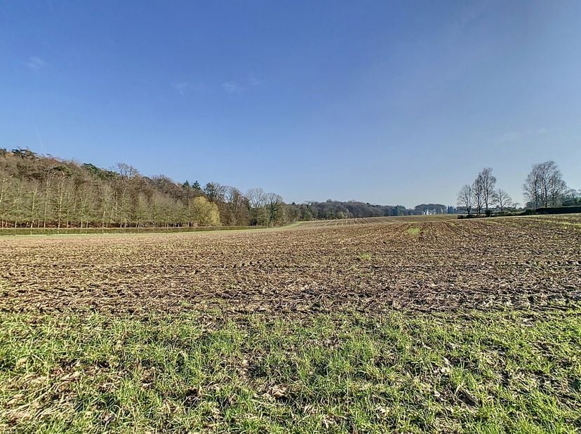 A Lasne-Chapelle-Saint-Lambert, dans une rue de standing, au calme,&lt;br /&gt;
SUPERBE TERRAIN A BATIR orienté plein SUD&lt;br /&gt;
avec une MAGNIFIQUE VUE sur