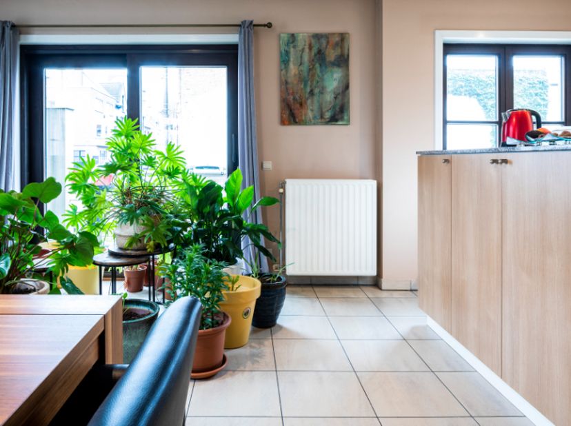 Mei is appartementenmaand bij Domicill!&lt;br /&gt;
&lt;br /&gt;
Roeselare : Ruim en lichtrijk appartement in een aangenaam woonerf met 1 slpks 83 m².&lt;br /&gt;
&lt;br /