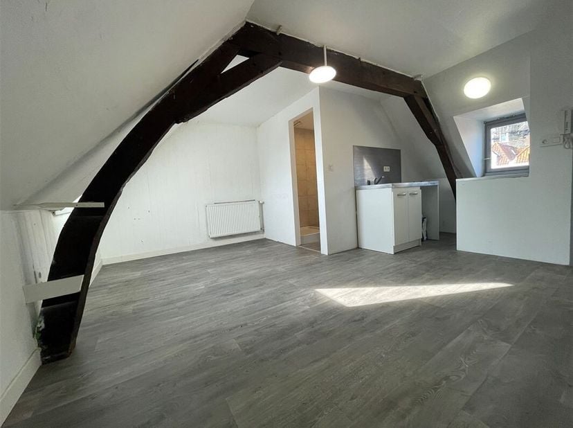 Aantrekkelijk studio-appartement zonder mogelijkheid van een vast adres, ideaal gelegen in het stadscentrum en dicht bij de kades.&lt;br /&gt;
Woonkamer ca.