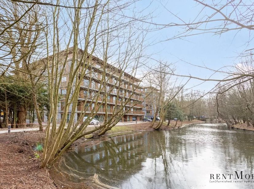 Dans cette magnifique Résidence Royale Belge, nous proposons plusieurs studios et appartements à louer. Ces superbes appartements offrent tout ce dont