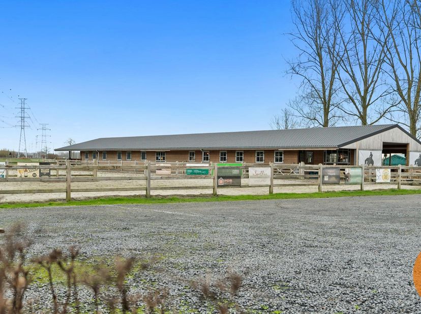 NIEUWE VOORWAARDEN!!&lt;br /&gt;
DAMME - Instapklare paardeneigendom met gastenverblijf&lt;br /&gt;
Deze eigendom voor paardenliefhebbers biedt een unieke combina