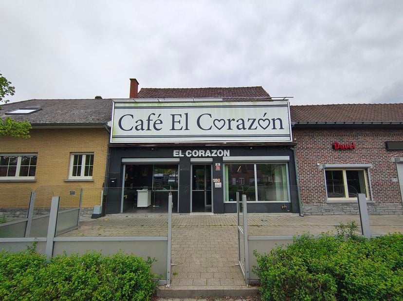 Bien professionnel à vendre
                    à 9500 Viane