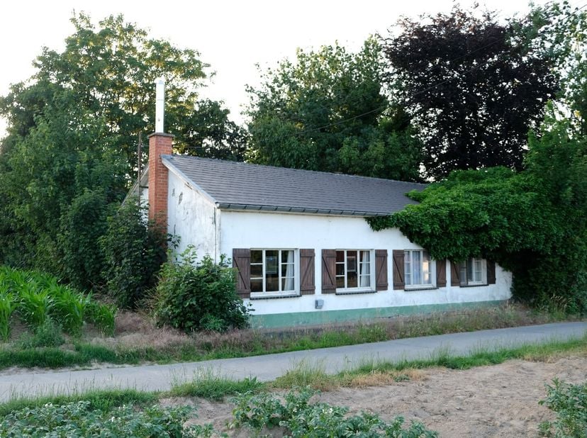 Scenario 1: je houdt van de natuur, een rustige omgeving en een renovatieproject schrikt jou niet af... dan is deze woning misschien wel iets voor jou