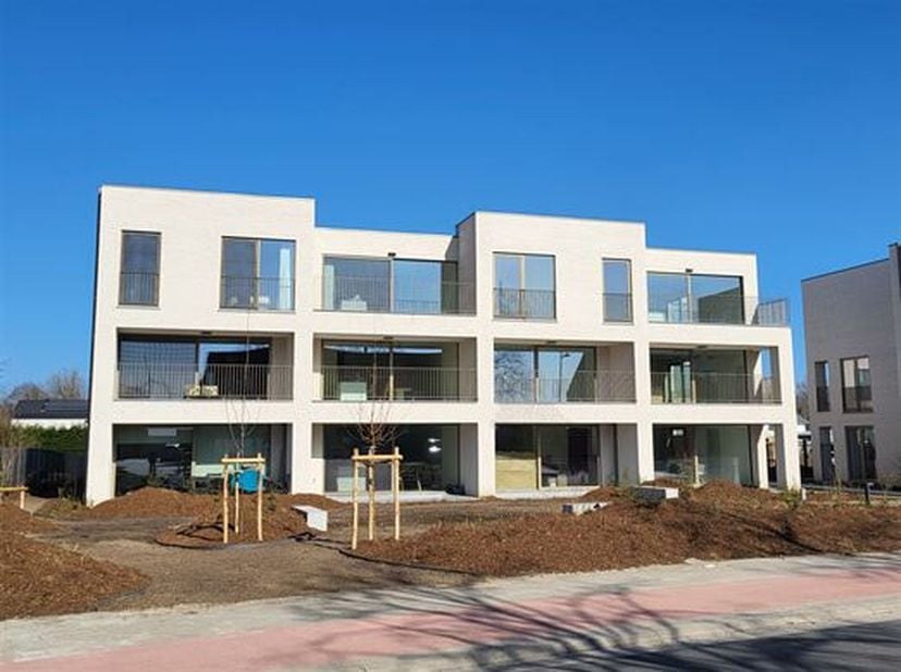 Appartement à louer
                    à 2870 Puurs
