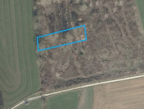                                         Bois à vendre à Herzele, € 20.000
