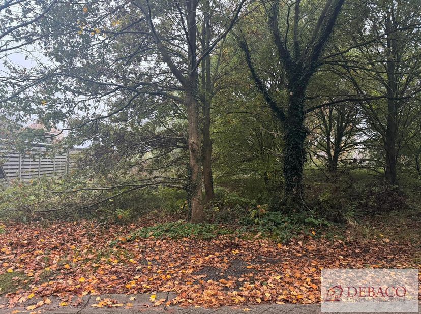 Rustig gelegen bouwgrond voor OB&lt;br /&gt;
Totale oppervlakte 881m²&lt;br /&gt;
Stedenbouwkundige voorschriften te verkrijgen via kantoor.&lt;br /&gt;
Bouwgrond is ge
