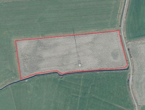                             Landbouwgrond te koop in Klemskerke
