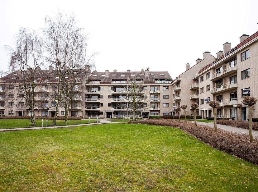 Appartement à louer
                    à 2050 Antwerpen