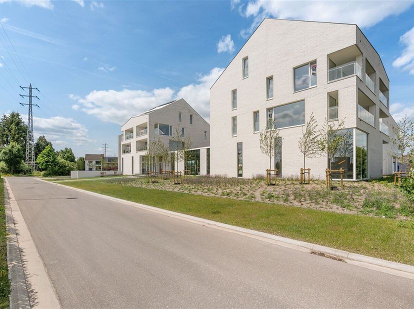 Droom je van een woning in het hart van Sint-Truiden, op een steenworp van de levendige Grote Markt, en toch omringd door het groen? Dan is het nieuwb