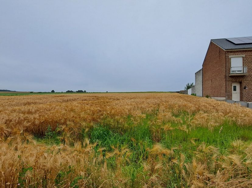 Prachtige bouwgrond voor halfopen bebouwing omgeven door agrarisch gebied met mooie verzichten. Het perceel heeft een oppervlakte van 14a 20ca met een