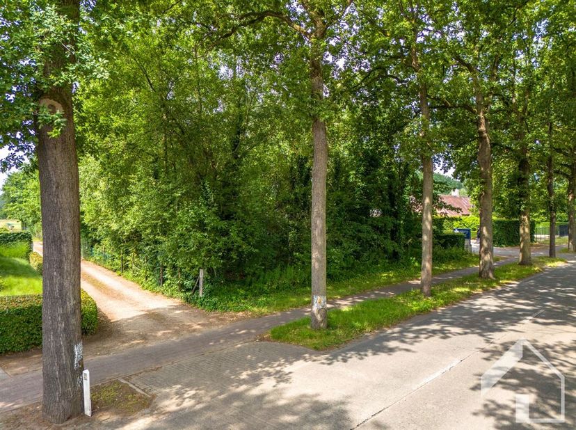 Découvrez ce magnifique terrain à bâtir de 2060m², idéalement situé dans un quartier calme et verdoyant de Halle. Offrant une évasion sereine entourée