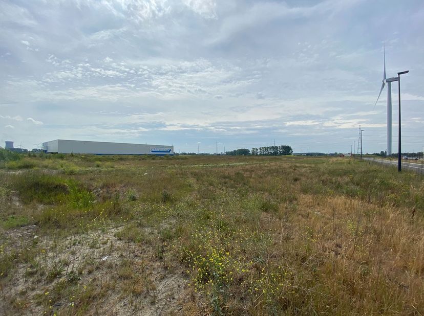 Nieuwbouw logistiek magazijn van 7.500 m² te huur. Het magazijn heeft 1 laadkade per 1.000 m², een vrije hoogte van 12,2 m, een draagkracht van 5T/m²