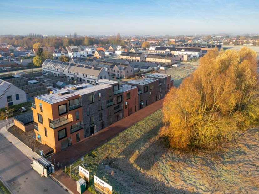 Deze parkwoning (lot 30) gelegen in het nieuwbouwproject ‘Wonen aan het park’ in Kuurne bestaat uit 3 verdiepingen. De oppervlakte van het perceel is