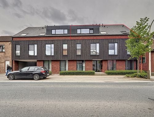                                         Appartement à louer à Kalmthout, € 995
