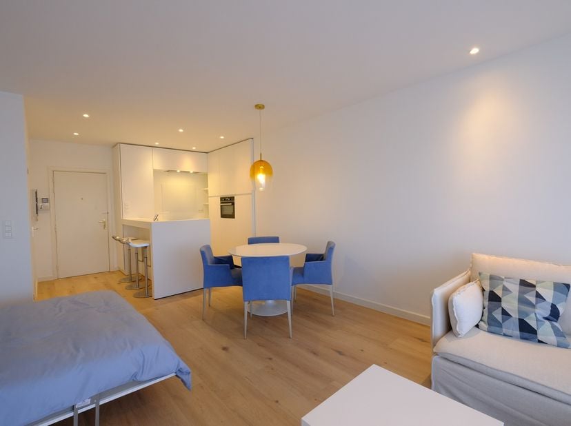 Deze gemeubelde studio van 60m² is gelegen op de kleine ring van Hasselt, vlak bij de Blauwe Boulevard.  Deze is volledig ingericht met een uitklapbaa