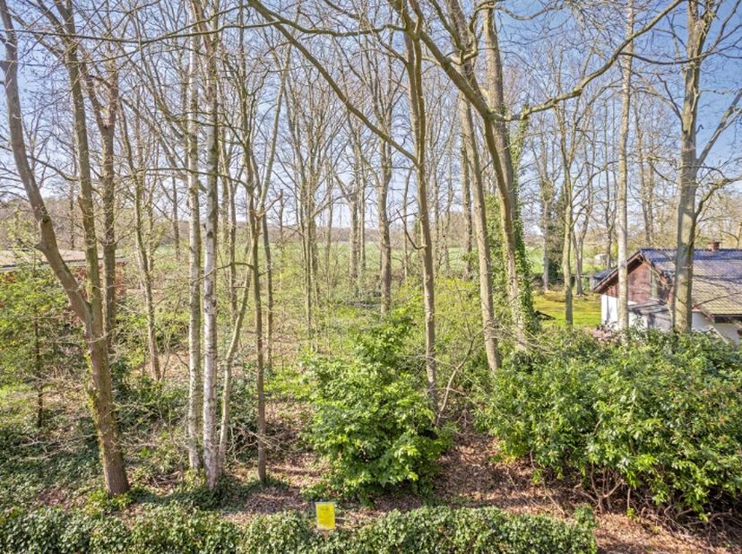 Terrain à vendre
                    à 2870 Liezele