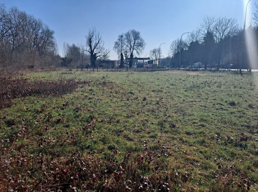 Weiland te koop van 41a91ca volgens kadaster ! Ligt tegen Diest aan.