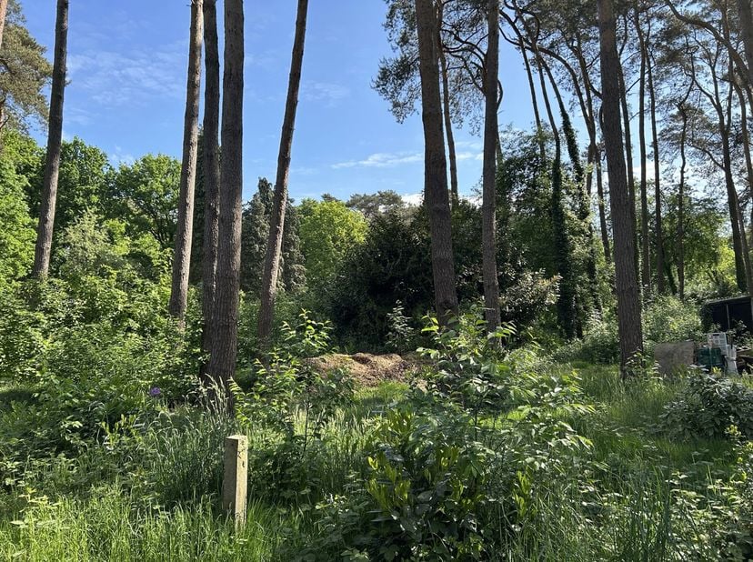 Beschrijving:Mooi perceel gelegen in een natuurlijke omgeving Halle/Zoersel.Kenmerken:Het betreffende perceel is gelegen in een gebied voor verblijfre