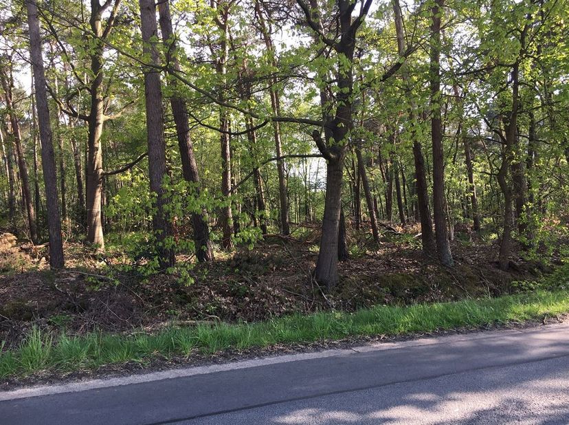 Terrain à vendre
                    à 2322 Minderhout