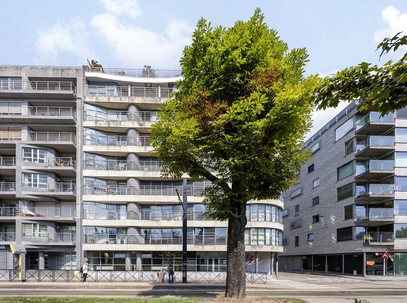 Cet appartement spacieux avec trois chambres, un espace de vie ouvert et une vue magnifique sur le South Park bénéficie d&#039;un excellent emplacement prè