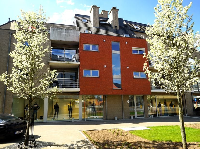 Appartement à louer
                    à 3980 Tessenderlo