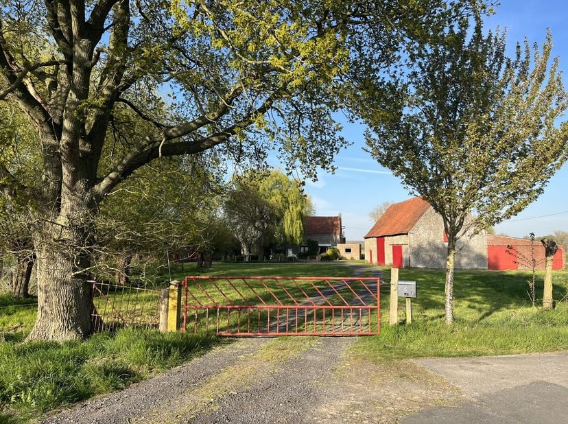 Maison à vendre
                    à 8340 Damme
