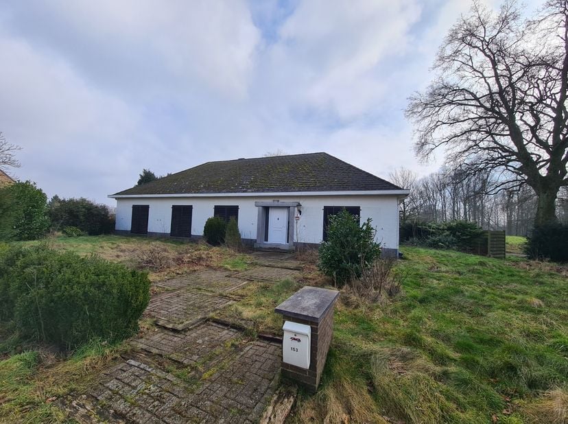 Uitkijkend op een weidse prachtige groene omgeving vindt u hier op een perceel van 1300 m² met een straatbreedte van maar liefst 53m deze charmante wo