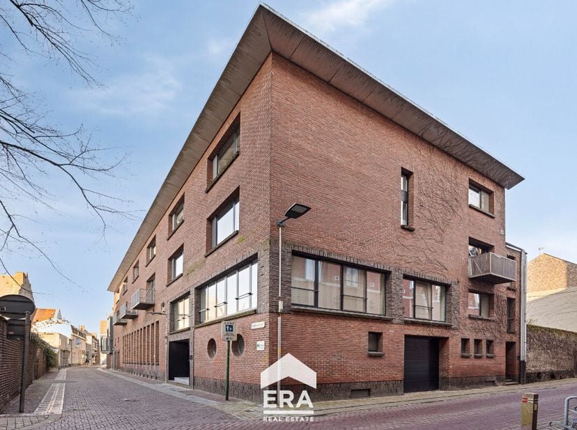 Bien professionnel à vendre
                    à 3680 Maaseik