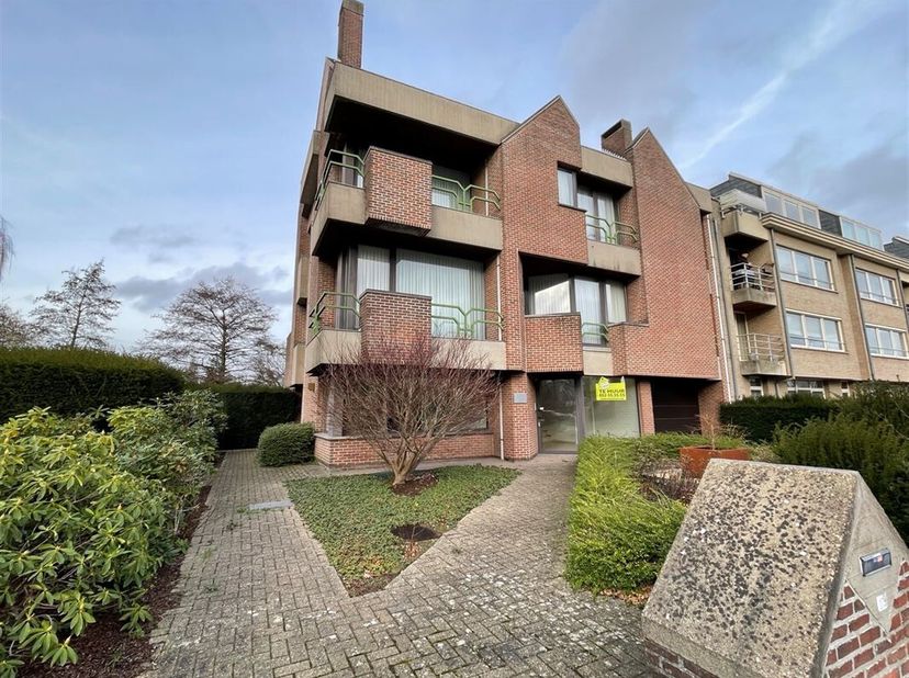 Bien professionnel à louer
                    à 9200 Dendermonde