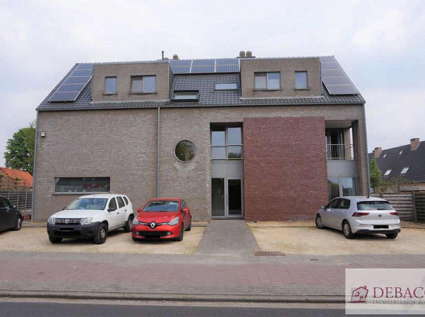 Appartement à louer
                    à 2260 Oevel