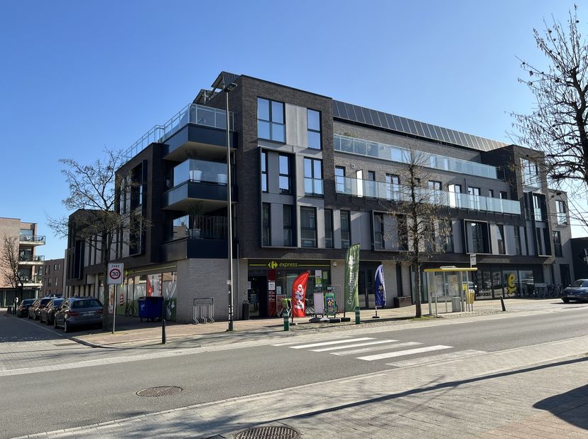Energiezuinig appartement met 1 slaapkamer, terras en autostaanplaats op wandelafstand (700m) van het centrum van Hasselt.&lt;br /&gt;
Dit mooie moderne app