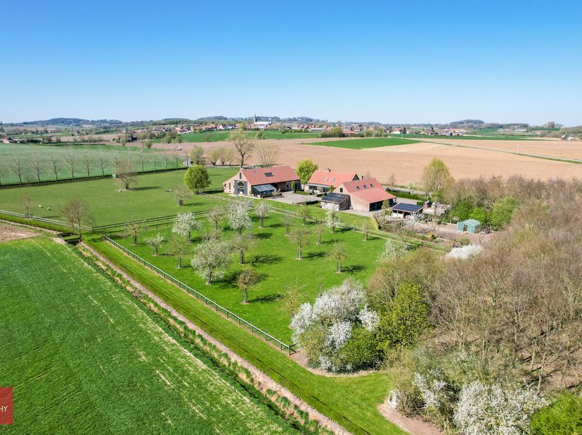 Recent gebouwde (2012) hoeve met verschillende bijgebouwen. Woonhuis bestaande uit inkomhal, living, ruime leefkeuken, bijkeuken met koelcel, kelder,