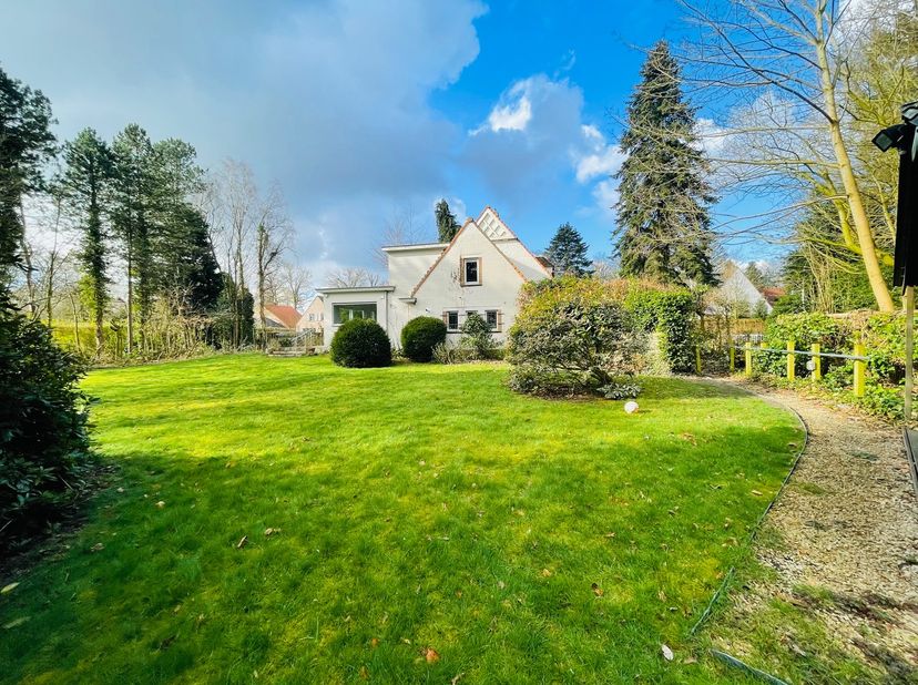 Maison à louer
                    à 8200 Sint-Andries