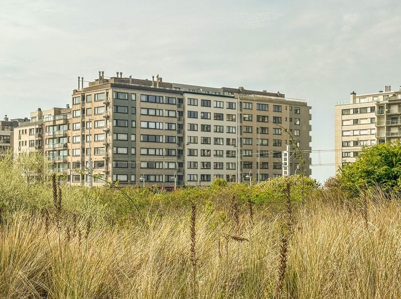 Droom je van een eigen plekje aan de kust om even helemaal tot rust te komen? Deze volledig vernieuwde studio ligt net om de hoek van de Zeedijk, het