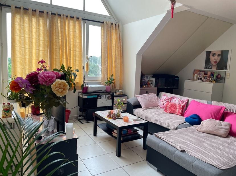 Appartement à vendre
                    à 3590 Diepenbeek