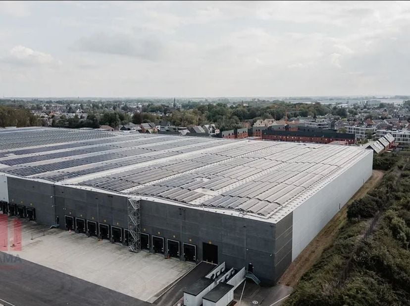 Uitstekend gelegen logistiek magazijn van 29.954 m²  met 1.241 m² kantoorruimte te huur naast de containerterminal van Willebroek en dichtbij de A12 w