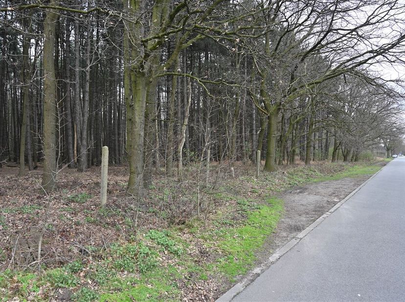 Deze mooie bosgrond is gelegen tussen de Gebroeders Naudslaan en de Wachtbekestraat te Wachtebeke. &lt;br /&gt;
Voor meer info bel ons op 03-449 42 41 of ma