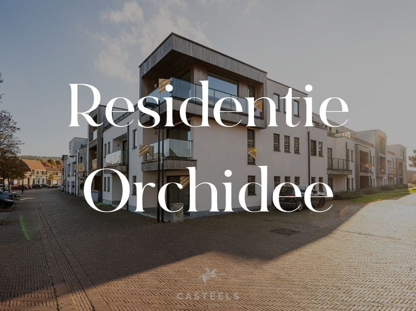 Appartement te koop
                    in 9690 Ruien