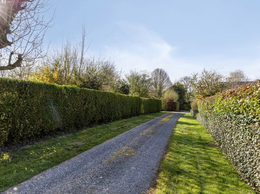 Immo Pické biedt U deze uitzonderlijke grond aan met daarop een afgebrande woning toegankelijk via een privatieve oprijlaan. Deze eigendom dient volle