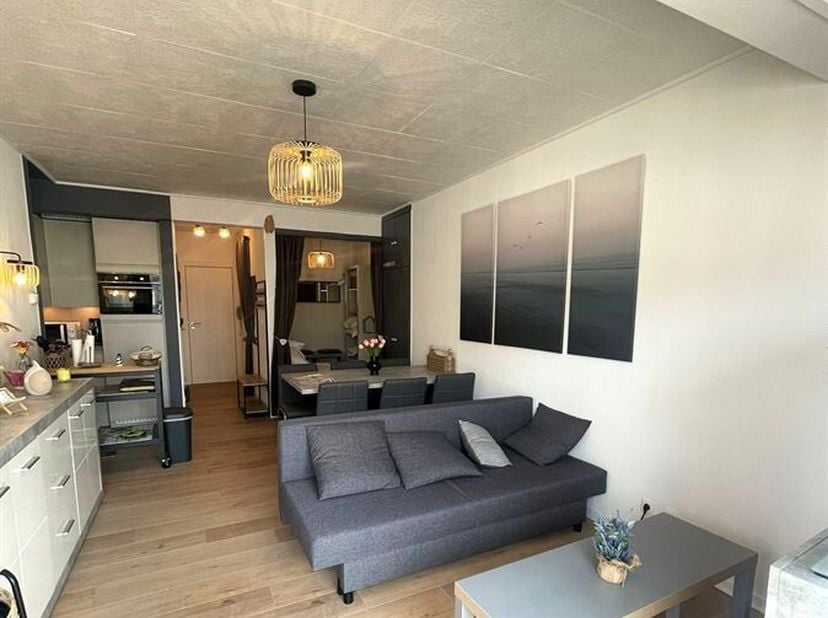 Te koop: recent gerenoveerde studio op de zesde verdieping in het centrum van Middelkerke. Deze lichtrijke studio is instapklaar en biedt een prachtig