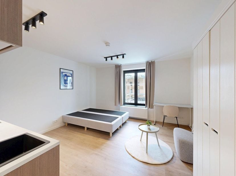 Deze prachtige bemeubelde studio is gelegen in de bruisende stad Leuven, in de residentie THALIA. De studio is onlangs gerenoveerd in 2025 en biedt ee