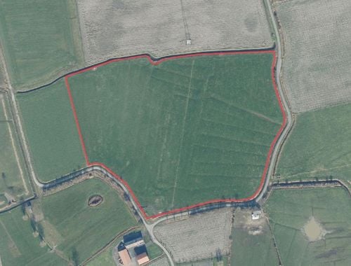                             Weide te koop in Klemskerke
