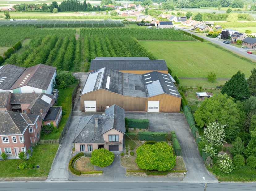 In het landelijke Alken, op Musstraat 12, bevindt zich deze unieke open bebouwing met achterliggende fruitloodsen en landbouwgronden gelegen op 1,1 he