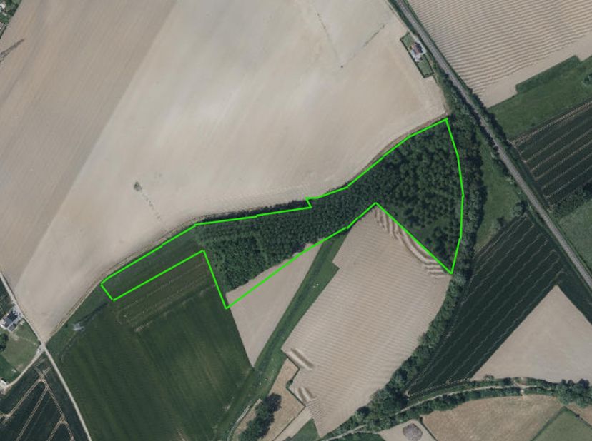 Un terrain en zone agricole et naturelle de 4 hectares 11 ares et 50 centiares comptant 11 parcelles, toutes libres d&#039;occupation et de bail à ferme. 1